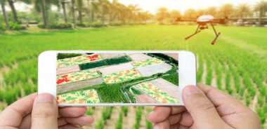 La start-up kenyane &ldquo;Shamba Assistant&rdquo; remporte la 2e édition du Filaha Innovation Program