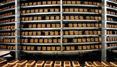 Alimentation industrielle: sel, sucre et additifs dans la ligne de mire en France