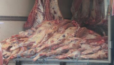 Destruction de 1.000 tonnes de produits alimentaires