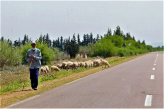 Les mauvais chiffres de l'emploi en 2023 : près de 200.000 emplois perdus dans le rural, pic du taux de chômage