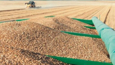 Adoption d'un projet de décret sur la suspension des droits d'importation du blé