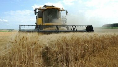 Campagne céréalière: les mesures mises en place pour assurer les bonnes conditions de la commercialisation