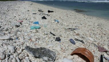 Des scientifiques créent par hasard une enzyme dévoreuse de plastique