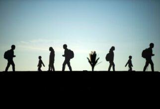 Le Pacte mondial pour les migrations ratifié largement à l'ONU
