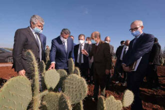 Marrakech-Safi: lancement de projets de développement agricole et rural