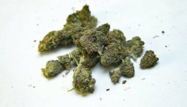 Le cannabis thérapeutique va être autorisé au Royaume-Uni