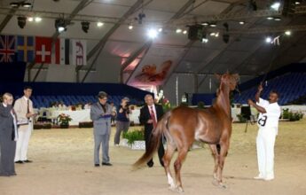 24 heures d'actualité en images