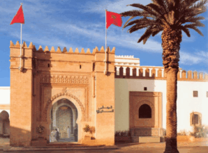 Elections: deux décisions du conseil constitutionnel qui feront jurisprudence