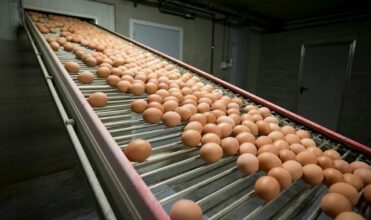 Investir en Corée du Nord: gouffre sans fond ou occasion en or ?
