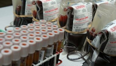 La future Agence marocaine du sang et de ses dérivés remplacera le CNTS et les CRTS