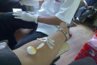 Niveau critique des réserves de sang dans les grandes villes