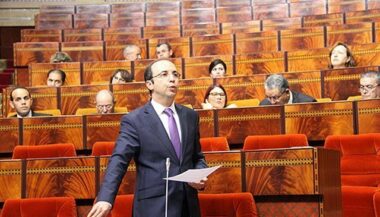 Leishmaniose: 1.065 cas à Zagora entre juillet et octobre 2018