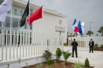 L'Essec ouvre un nouveau parcours dédié au management digital