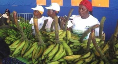 Le Maroc invité d’honneur à la foire agricole gabonaise