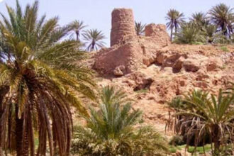 Figuig : Un plan d'intervention pour atténuer les effets de la vague de froid