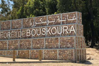 Bientôt un système de vidéosurveillance dans la forêt de Bouskoura à Casablanca