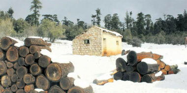Bizz'art lance un appel aux dons pour aider le monde rurale en période hivernale