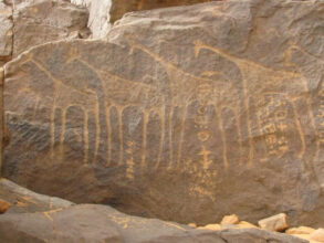 Berkane: Découverte des plus anciennes gravures rupestres de l'Afrique du nord