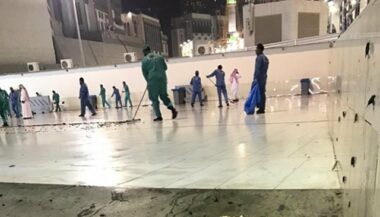 Arabie saoudite: des grillons envahissent la Mecque (images)