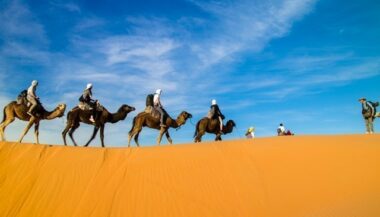 Guides touristiques non formés: la phase transitoire passera à 6 ans