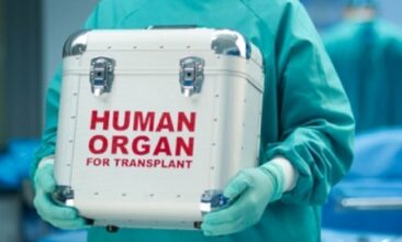 Maurice: Les transplantations d'organes désormais autorisées