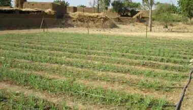 Eau virtuelle, eau agricole : à la Fondation Links, Mohammed Sadiki démonte les idées reçues