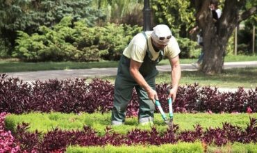 Assises des services. Le point avec Hicham Saadli, président de la Fédération du commerce et services
