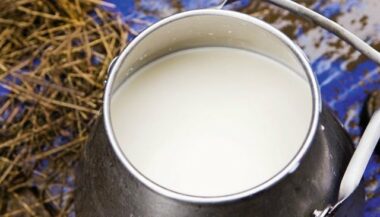 Le risque de pénurie guette les filières du lait et des viandes rouges