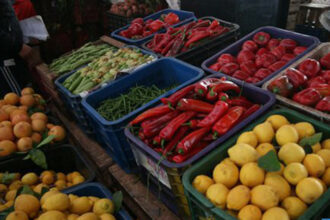Stabilité des prix de gros des fruits et légumes durant la deuxième semaine du Ramadan