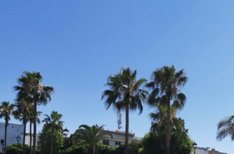 Météo: les prévisions pour la journée du dimanche 13 décembre