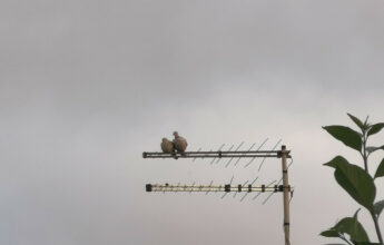 Météo: nuages et pluies ce vendredi sur le nord-ouest, le Saiss, le Rif et le sud-est