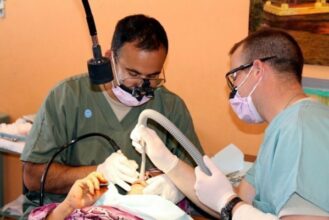 Réforme de la santé : de nombreux obstacles restent à franchir