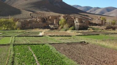 Statistiques agricoles : mieux savoir pour mieux agir