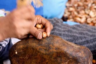 Une marque pour mettre en valeur les produits du bled