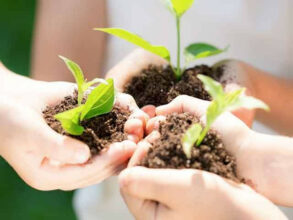 Cartographie des sols: La Fondation OCP lance &ldquo;Restore Africa Soils&rdquo;