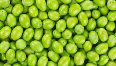 Production record d'olives au Maroc: mesures en faveur des producteurs nationaux