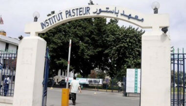 Virus émergents: trois initiatives lancées par l'UM6P, la Fondation OCP et l'IPM