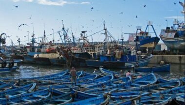 Pêche: stagnation des quantités débarquées en 2018