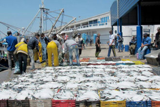 Vers la création d’un statut social particulier pour les marins pêcheurs