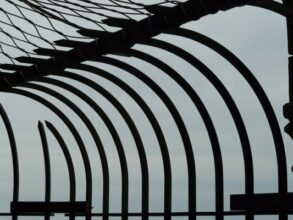 La surpopulation s’aggrave