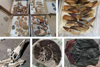 Casablanca: saisie de près de 200 kg de pièces géologiques interdites à l’exportation
