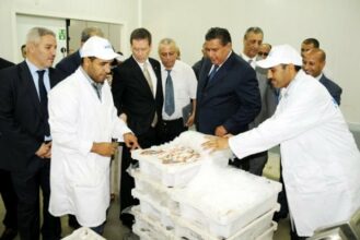 Marrakech se dote d'un marché de gros de poisson ultramoderne
