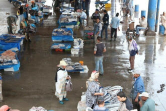 Pénurie de poisson sur le marché marocain à cause de l'épidémie Covid-19