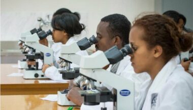 La recherche scientifique au Maroc toujours embryonnaire