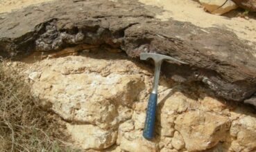 Après l’appel à manifestation d’intérêt: 10 questions impertinentes sur le ghassoul