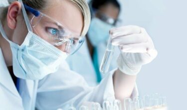 Recherche scientifique: Des bioherbicides à base d’huiles essentielles &ldquo;made in Wallonie&rdquo;