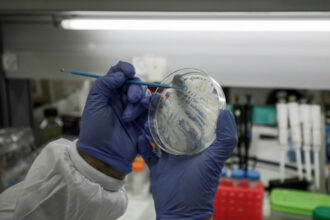 MAScIR-Mologic: vers des biosimilaires et tests de diagnostic pour les épidémies