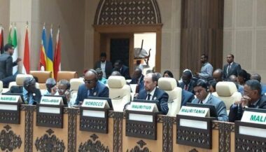 31e sommet de l'UA: Le conseil exécutif entame sa 33e session ordinaire
