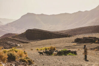 Dans le Maroc rural, la vie dans les zones arides racontée par des spécialistes