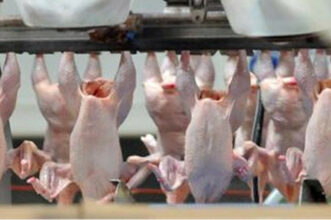 Hausse des prix des viandes de volailles: les explications de la Fisa